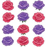 Colorful roses in various arrangements with flat design style art vector