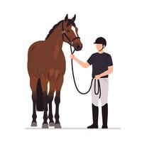 Horse and rider interaction in flat design style art vector