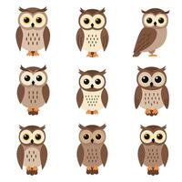 Cute owl characters in minimal style showcasing various expressions and poses illustration vector