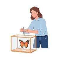 Woman observing butterfly in a display box with flat illustration style vector