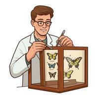 Scientist carefully arranging colorful butterflies in a wooden display case illustration vector