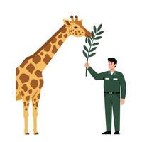 Giraffe interacting with zookeeper in flat minimal design illustration vector