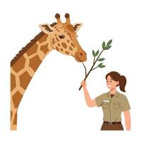 Giraffe interacting with zookeeper in flat style art vector