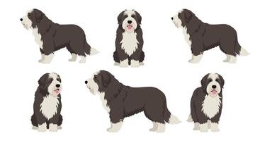 Detailed illustration of a dog in various poses showcasing flat design style vector