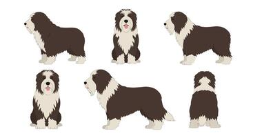 Detailed illustration of a playful dog in various poses and angles in a flat design vector