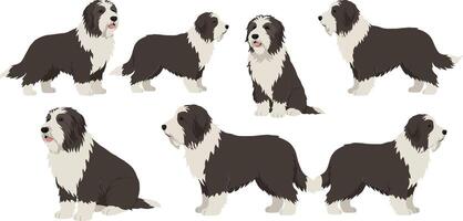 Detailed illustration of playful dogs in various poses with flat design style art xcd vector
