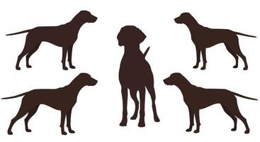 Dogs in various poses showcasing flat design style art vector