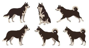 Dog character poses in flat design style showcasing playful expressions in illustration vector
