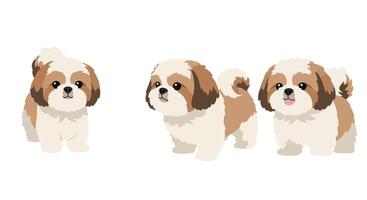 Shih Tzu dog character design in flat style illustration vector