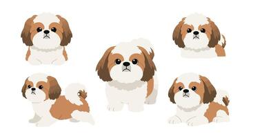 Shih Tzu dog illustrations in playful poses flat art vector