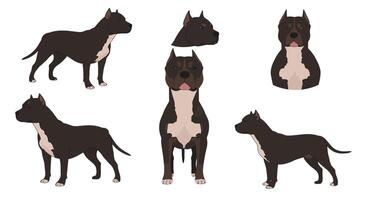 Detailed illustration showcasing a dog in various poses and angles with flat design style vector
