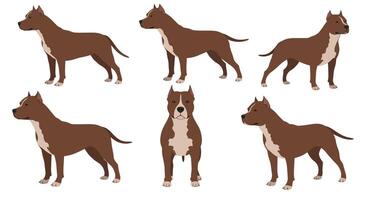 Brown dog character design in minimal art style showcasing various poses and angles in six frames illustration vector