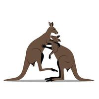 Kangaroos playfully interacting in a minimal flat design illustration vector