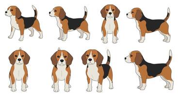 Beagle dog character poses in flat minimal art style showcasing playful expressions and body movements illustration vector