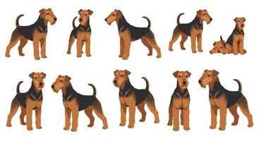 Detailed illustration of playful dogs in various poses and expressions in flat design style vector