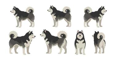 Detailed flat illustration of playful huskies showcasing various poses and expressions in art vector