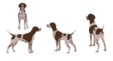 Four distinct poses of a dog in flat art style showcasing playful character and unique features illustration vector