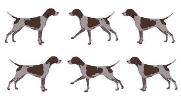Dog walking animation sequence in flat design style illustration vector