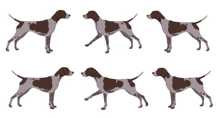 Dog walking animation sequence in flat design style illustration