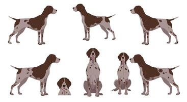 Dog illustration featuring various poses in flat design style art vector