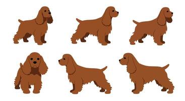 Brown dog character poses in flat style illustration showcasing playful expressions and movements vector