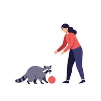 Raccoon interacting with a person in a playful manner flat illustration vector