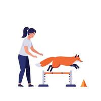 Fox jumping over a hurdle with a trainer in flat illustration vector