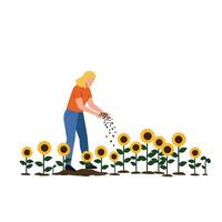 Gardener planting sunflower seeds in minimal and colorful style illustration vector