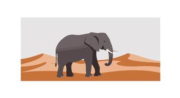 Elephant walking across desert landscape in flat art style vector