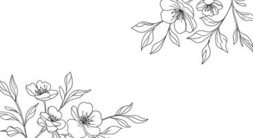 Flower arrangement transition from left to right in detailed art vector