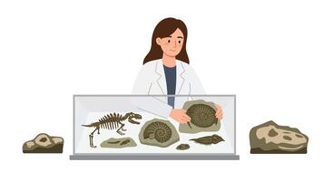 Scientist examining fossils in glass display case, flat and minimal art vector