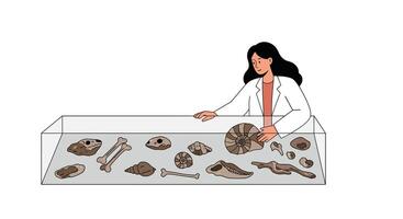 Scientist examining fossils in a display case with detailed illustration style vector