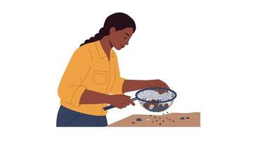 Woman sifting rice in a bowl using a colander, flat illustration vector