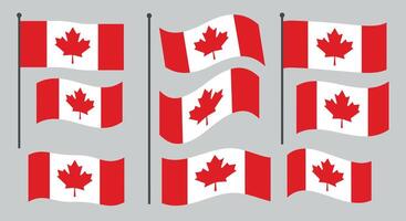 Canadian flags in various positions designed in a flat illustration style vector