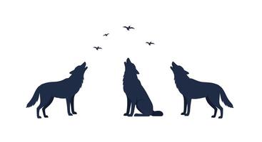 Three howling wolves in a minimalistic flat design art vector