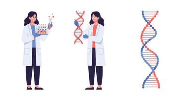 Scientist holding lab equipment transitions to displaying DNA strand in flat illustration vector