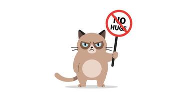 Cat holding sign with no hugs message in flat art style vector
