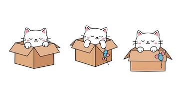 Cute cat in box series showcasing playful expressions in flat art vector