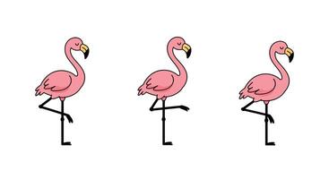 Pink flamingo in various poses with minimal design style illustration vector