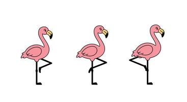 Pink flamingos standing on one leg in a playful sequence flat art vector