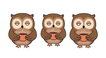 Cute owls enjoying warm drinks in flat and colorful illustration vector
