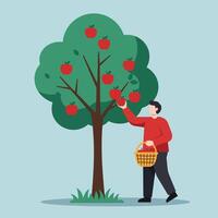 Person harvesting apples from a tree in flat art style vector