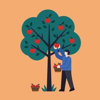 Person picking apples from a tree in flat design art vector