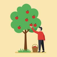 Man Picking Apples from a Tree in Flat Art Style Art vector