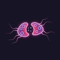Microorganism in vibrant colors transitioning from one state to another in flat art vector
