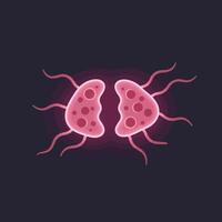 Cell division process illustrated in flat design art vector
