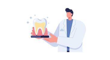 Dental professional holding a model tooth in flat art style vector