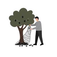 Man collecting fruits from tree using net in flat art vector