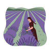 Woman harvesting lavender in a field with flat and minimal design art vector