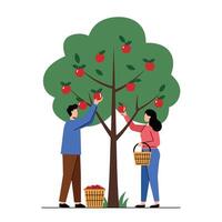 Two people picking apples from a tree in a flat art style vector